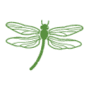 Bonnefield Financial Inc.