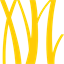 Banyan Capital Partners Ltd.