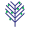 Limetree Capital Partners Holdings Limited