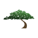 Pinestone Asset Management Inc.
