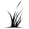 Terra Firma Capital Corporation