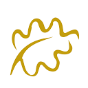Tradex Management Inc.